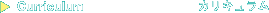 Curriculum カリキュラム